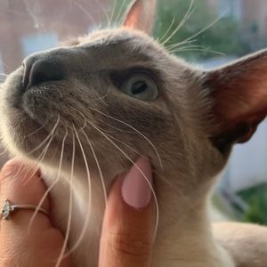 Meet your Posher, Suzanne